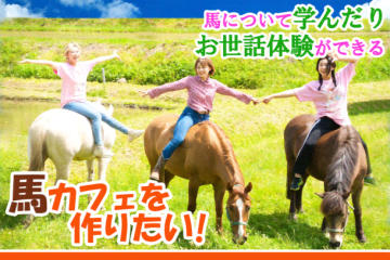  馬のお世話体験ができる「馬カフェ」　12月15日にクラウドファンディングを開始　～広島の安芸...