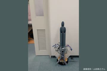 ドア前に置かれた門松、何かがおかしい…　「合理的すぎる正体」に称賛相次ぐ
