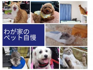 読者がとっておきの1枚を投稿！わが家のペット自慢 写真展
