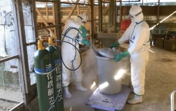 鳥インフル、過去最多に　23道県で計54例確認