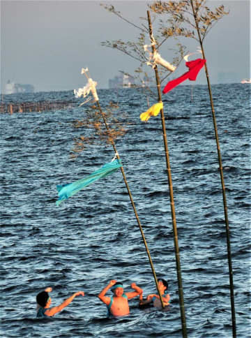 五穀豊穣、大漁願い「梵天立て」　厳寒の海へ若者14人勇壮に　木更津・中島海岸