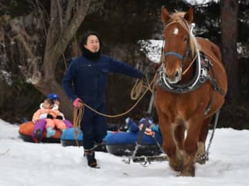 農耕馬の活用探る一歩　馬コ関係者有志、滝沢で初の調教会開催
