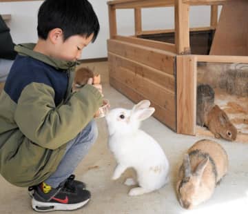 ふわふわウサギ、触れ合い施設オープン　成田ゆめ牧場