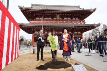 有村架純 桜の植樹に挑戦「全国で満開に咲く日を心待ちに」