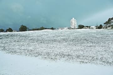 本州最南端にある望楼の芝も、うっすらと雪化粧して一面が白くなった（25日午前7時ごろ、和歌山県串本町潮岬で）