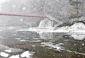 あゆのつり橋付近の久慈川を流れる氷花（シガ）。水面にシャーベット状の氷が浮かんだ＝25日午前9時15時ごろ、矢祭町