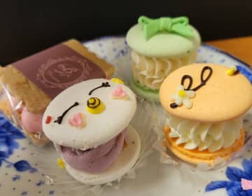 【柏の葉キャンパス】パステル色、思わずかわいいと言ってしまうカフェ「ビアンカ」