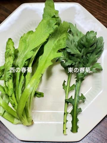 「『東の春菊』と『西の春菊』はまるで別の野菜らしい」　←気になる噂を調べていたら「第三の春菊」の存在が明らかに
