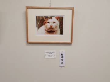 第44回船橋市写真展に参加しております！　会期19日まで