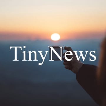 TinyNews
