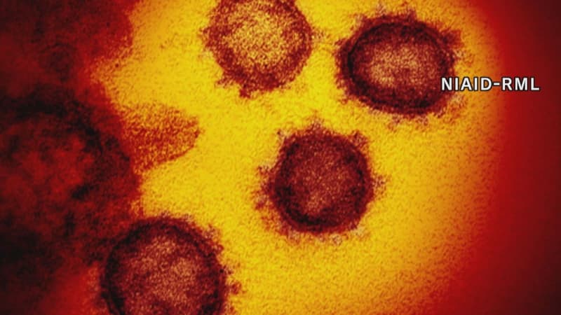 ⚡｜【速報】新型コロナ 大分県内で新たに104人感染確認 クラスター1件