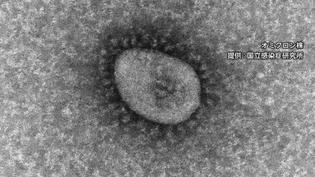 ⚡｜《速報》新潟県で新たに４５７人の新型コロナウイルス感染が発表