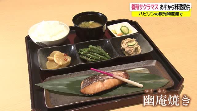 Sea cherry salmon dish Served from February 2nd to March 22th Fukui City Fukufukukan