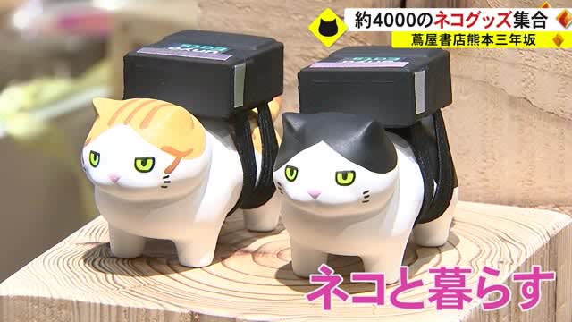 ネコ好きによるネコ好きのためのイベント『ねこフェス』開催中【熊本】