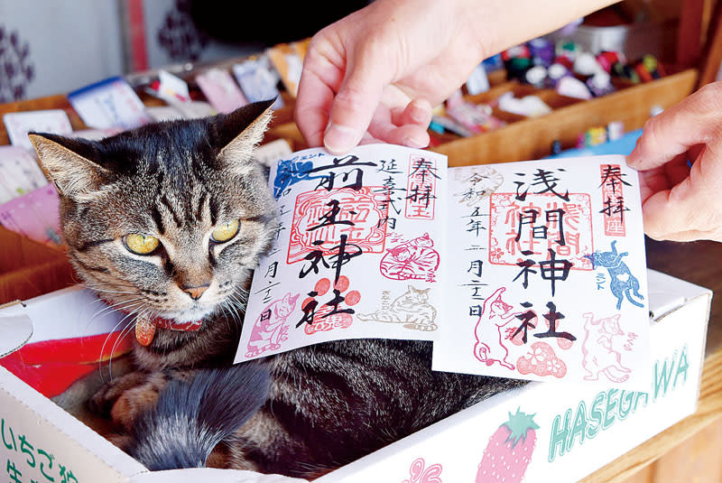 「猫の日」にDXな特別限定御朱印　行田・前玉神社で26日まで授与　「行方不明」でデザイン変更も