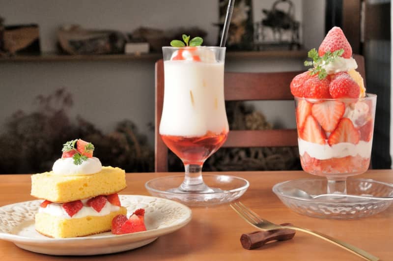 3 Strawberry Menus Using Asuka Ruby【Cafe Irodori｜Tenri City】