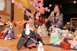 花見、犬の散歩、パラグライダー…ひな人形、セカンドライフ満喫中　兵庫・丹波で700体展示