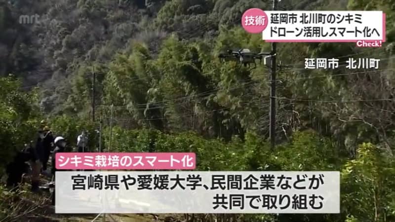 Smart Cultivation of Shikimi Nobeoka City Testing Agrochemical Spraying Using Drones