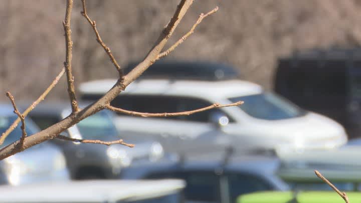 スキー場で車上荒らしの疑い　相次ぐ被害で警察が警戒中に不審な動き　男を逮捕　