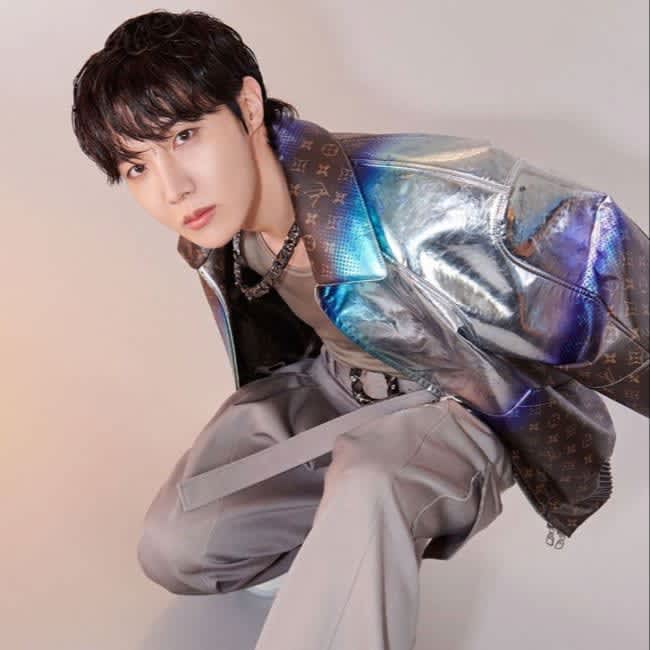 人気の春夏 BTS プルオーバー ステッチドテディ J-HOPEさん着用】ルイヴィトン トップス