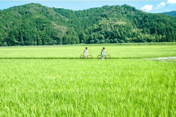愛媛県の宇和島市三間町にて、「散走」を踏まえた観光コンテンツの開発を実施