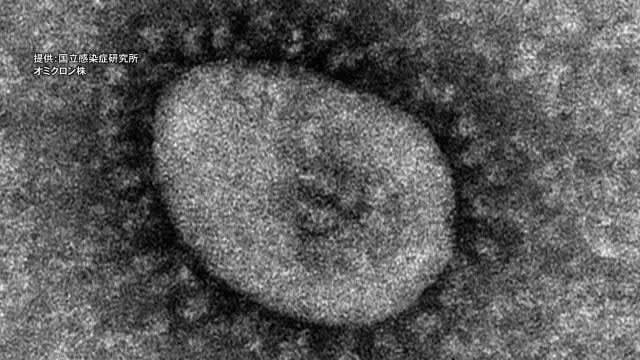 ⚡｜【速報】新型コロナ　高知で新たに72人の感染確認【高知】