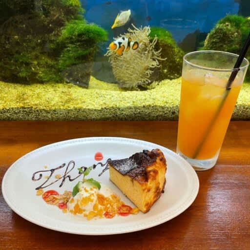 [Aichi Prefecture] Cafe x Aquarium ♡ Aquarium cafe perfect for dating!