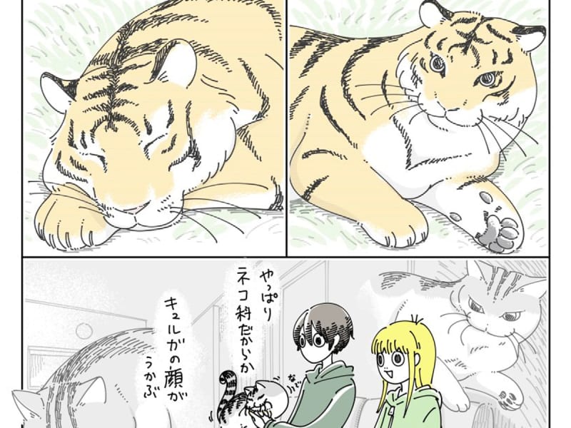What if cat owners watch "animal programs"?In the manga, "I understand everything!"