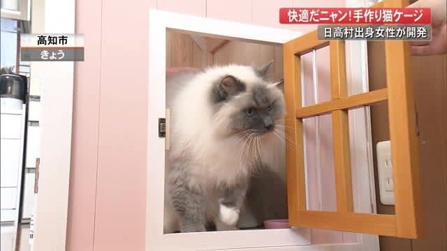 大好きな猫にかわいい“おうち”を…「ドールハウス型」ケージ　高知市の女性が10年かけて開発