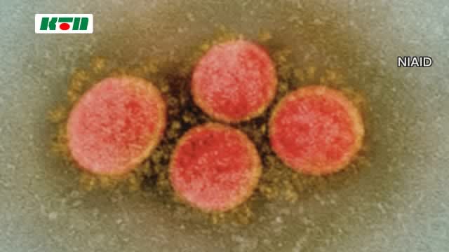 ⚡｜【速報】長崎県内で新たに111人が新型コロナウイルス感染