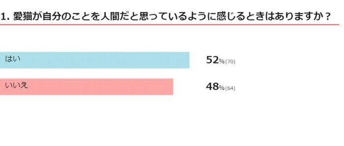 「自分も人」と勘違い!? 猫が人にあわせた行動をする理由
