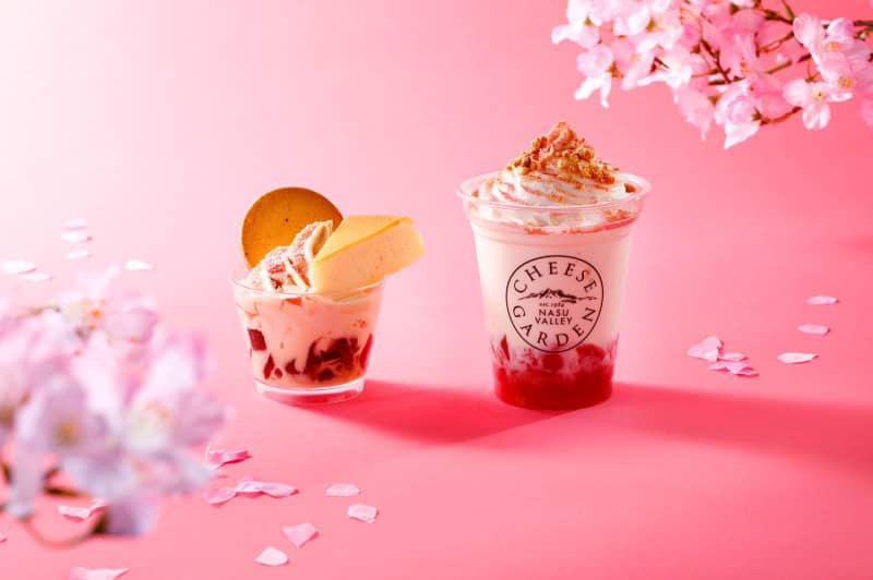 A spring-only menu with a cherry blossom theme is now available at the Cheese Garden Cafe!Gorgeous drinks and sundaes with the scent of cherry blossoms, etc.