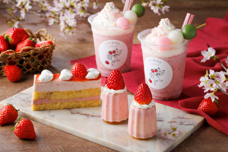 "Sakura x Strawberry" limited edition perfect for spring from ICHIBIKO, a strawberry sweets specialty store ...