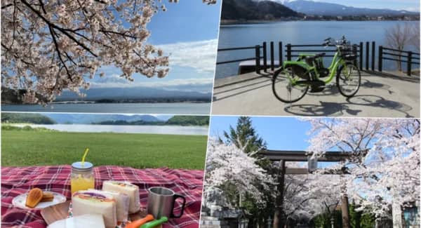 富士観光トラベル 地元サイクルガイド付き「富士山と桜を眺める絶景お花見サイクリングツアー」開催決定