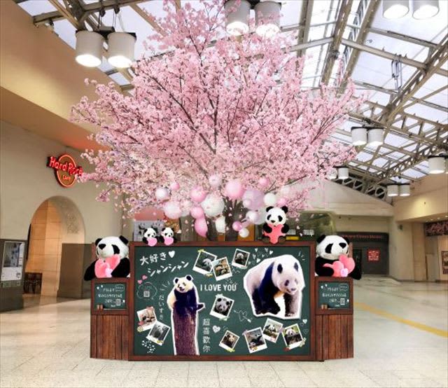 アトレ上野×JR上野駅「ずぅっと#らぶらぶシャンシャン桜ツリー」が登場！写真展も開催中