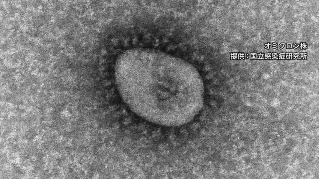新型コロナ　新たな感染は“1週前より32人少ない75人”　前週同曜日を6日連続下回る　1人死亡　富山