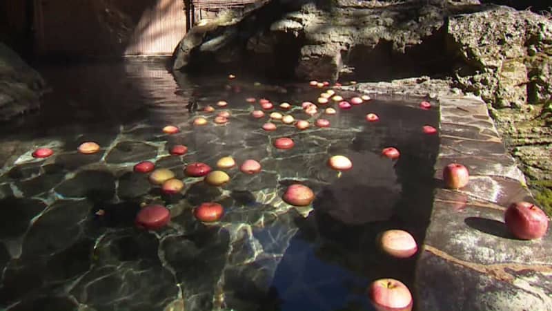 スイーツから温泉まで、奥久慈りんごを堪能できる驚きのスポット