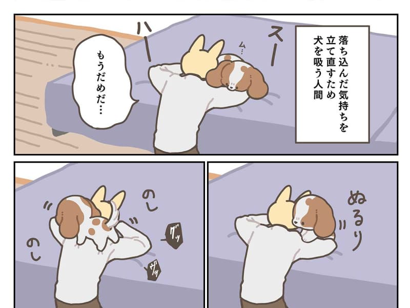 My dog ​​doesn't snuggle up to his depressed owner...? "The best" "I like that kind of place"