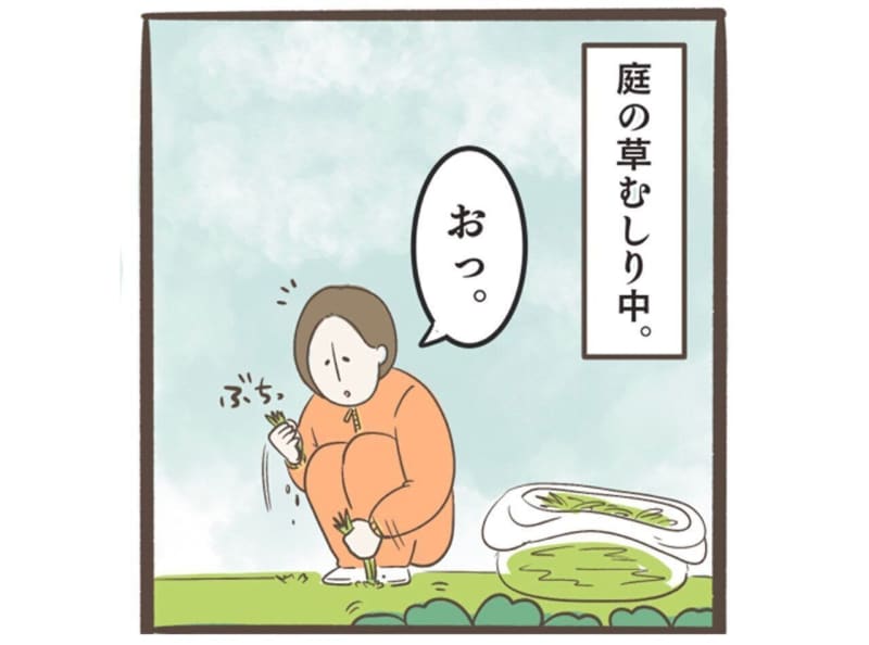 クローバーの葉の尊[うちの息子が尊すぎる件について！#37］