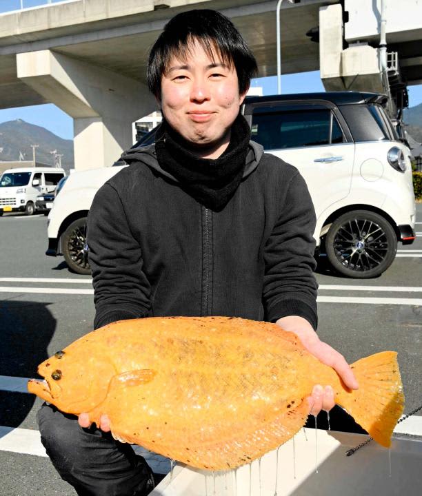 Jackpot! ?Golden flounder Seike of Uwajima discovered off the coast of Ainan Rare pigment mutation