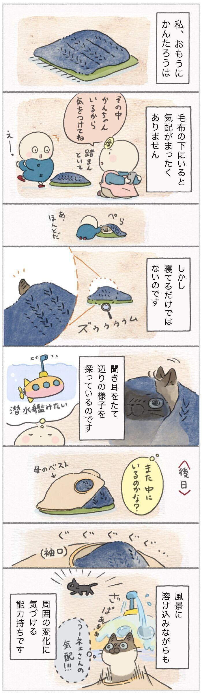 気配と自身を毛布へ隠し、何やら怪しい遊びに没頭する猫【連載】ねこ連れ草 269話め