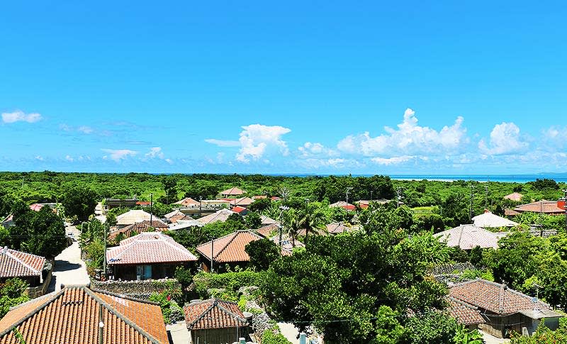 沖縄はアジア唯一 世界五大長寿領域ブルーゾーン、人と地域と自然がつながるウェルビーイング＝心身…