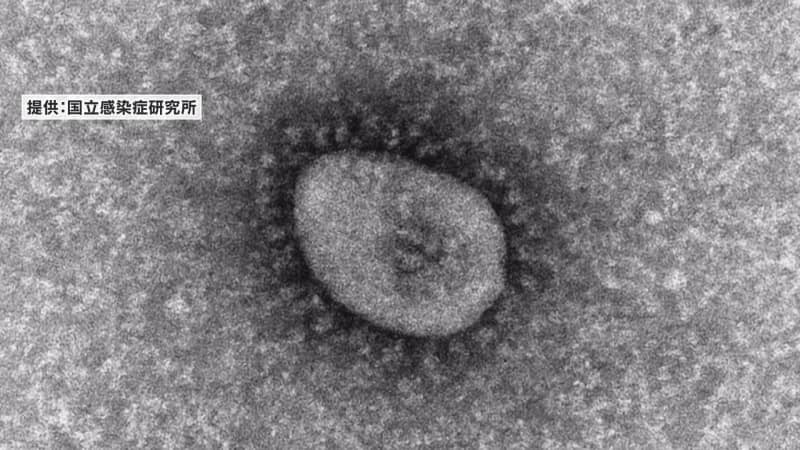 新潟県内で新たに２２４人感染確認　新型コロナウイルス