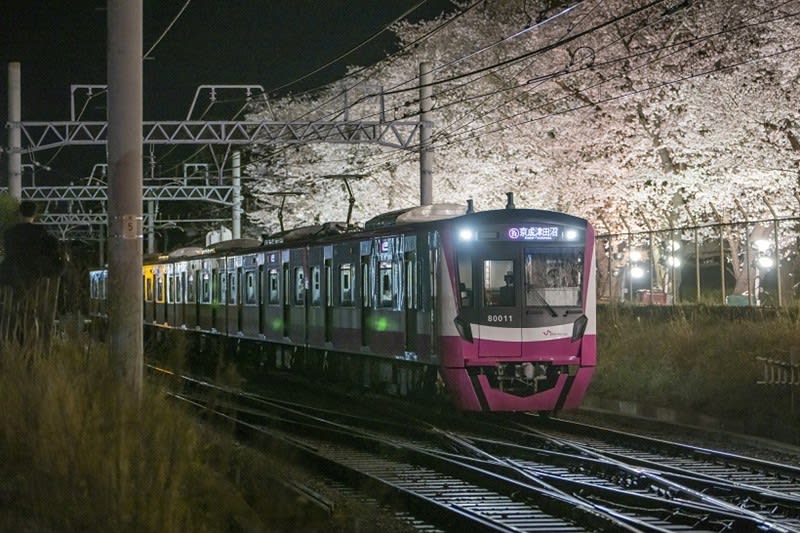新京成が線路沿いの夜桜をライトアップ　自衛隊も４年ぶりで駐屯地開放