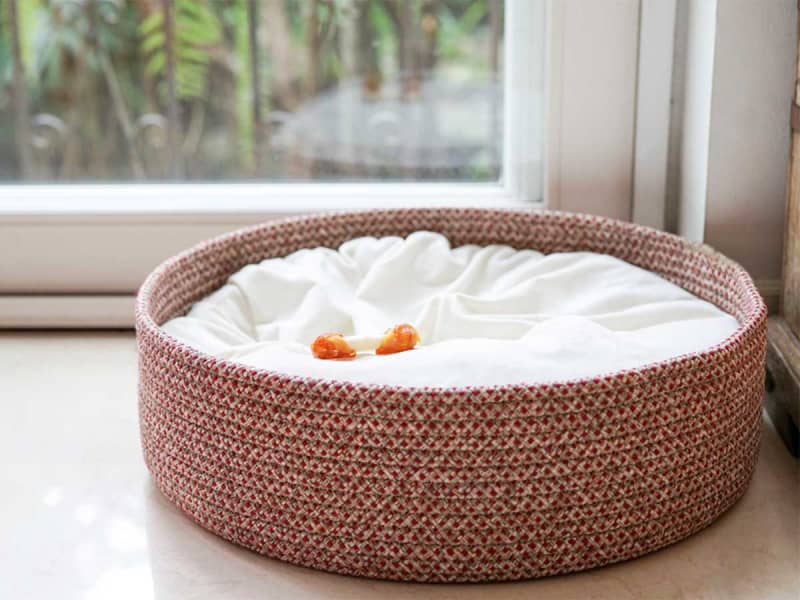 A dog bed that no one is using Looking at the side...? "Very cute" "Soothing"