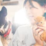 ペットのイヌから、人で拡大する2つの薬剤の耐性菌を大阪公立大学などが国内初発見
