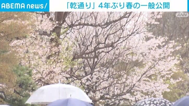 ⚡｜皇居・乾通り 4年ぶりに春の一般公開 100本以上の桜の木が満開に