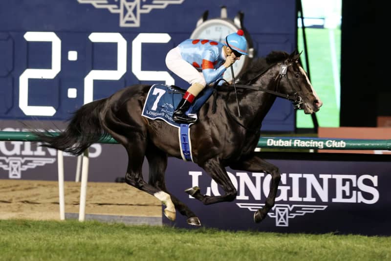 ウシュバテソーロが優勝 競馬のドバイWC ｜ 共同通信