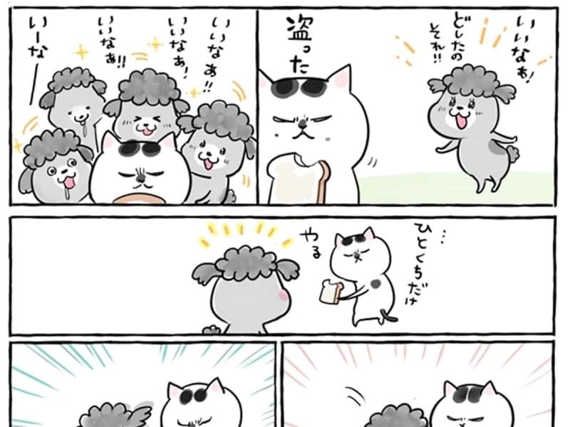 "If you have both a dog and a cat" Tears at the interaction between the dog and the cat "I wonder if they are having fun even above the clouds"
