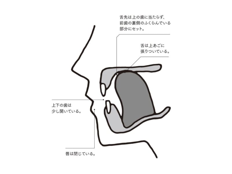 Check your tongue position!Normal mouth formation & oral environment improvement “teeth yoga”